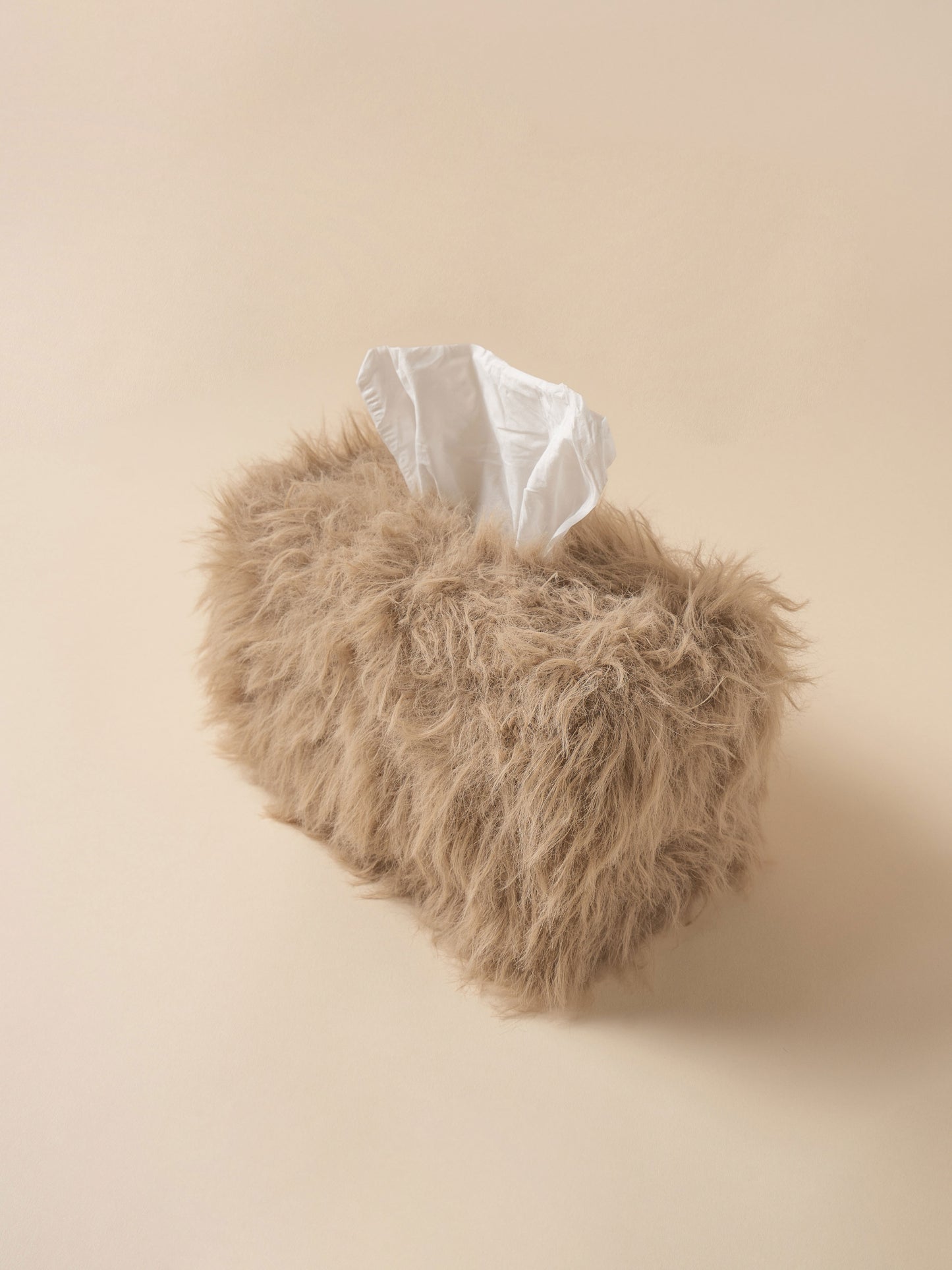 [PDF] Harry Terrier Tissue Case (ENGLISH)