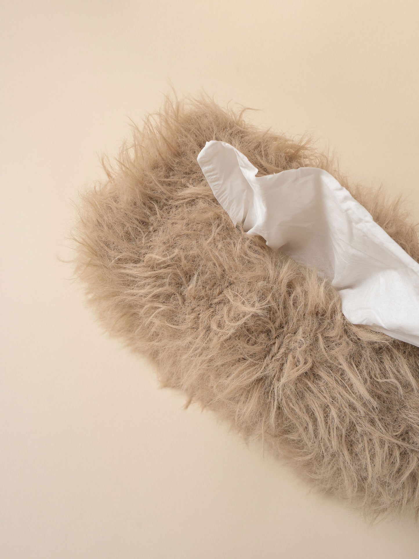 [PDF] Harry Terrier Tissue Case (ENGLISH)