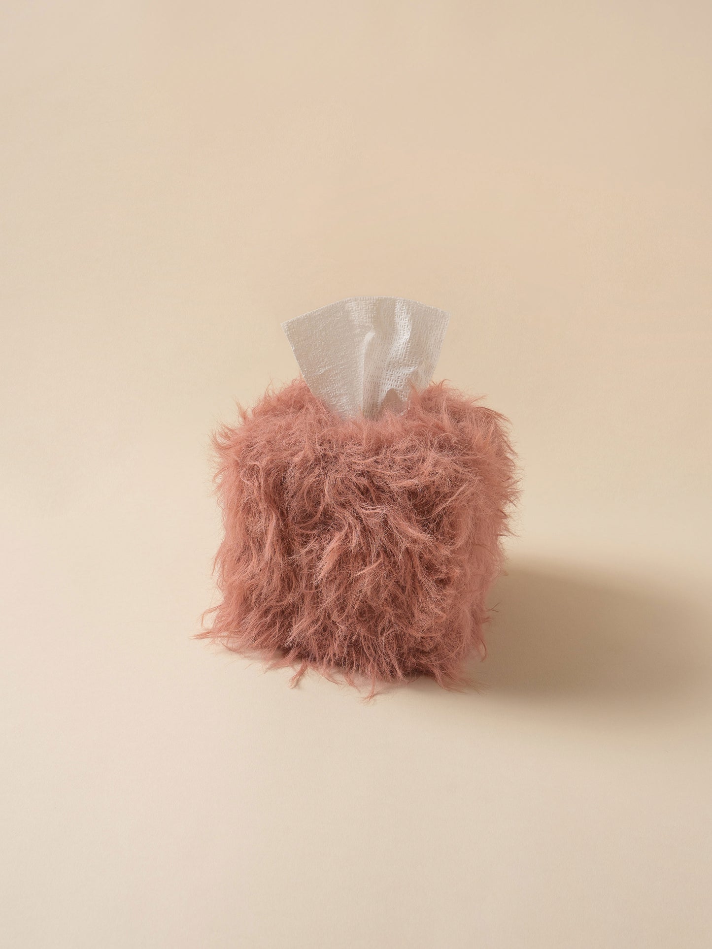 [PDF] Harry Terrier Tissue Case (ENGLISH)