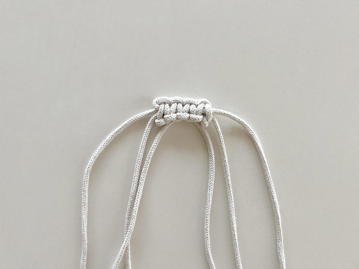 [PDF] Braided500 French Crossbody Bag (ENGLISH)